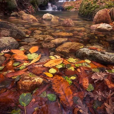 Apto Rural Fragaria - Valle Del Ambroz - Entorno Natural Unico Casas del Monte