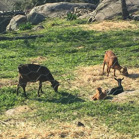 公寓 Apto Rural Fragaria - Valle Del Ambroz - Entorno Natural Unico *