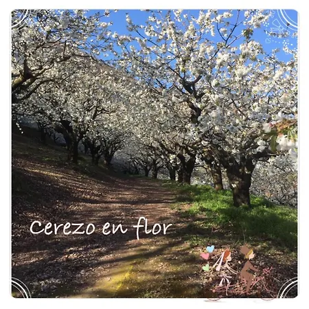 Apto Rural Fragaria - Valle Del Ambroz - Entorno Natural Unico