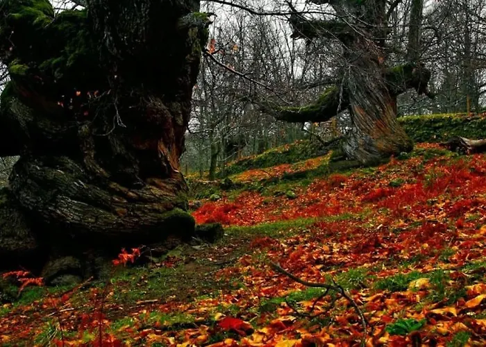 Appartement Apto Rural Fragaria - Valle Del Ambroz - Entorno Natural Unico 