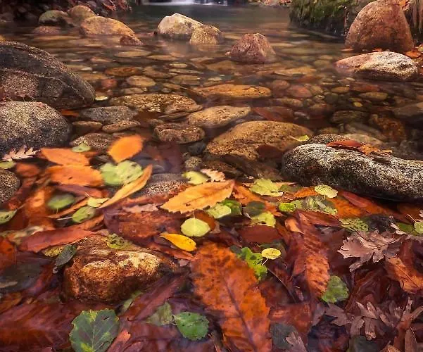 Apto Rural Fragaria - Valle Del Ambroz - Entorno Natural Unico Касас-дель-Монте