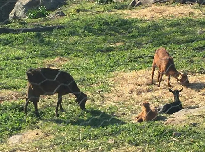 Apartment Apto Rural Fragaria - Piscinas Naturales Casas Del Monte- Entorno Natural Unico 