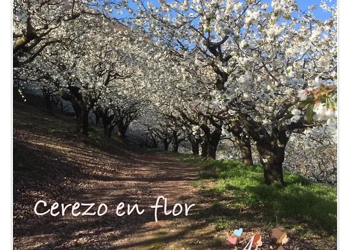 Apto Rural Fragaria - Valle Del Ambroz - Entorno Natural Unico 